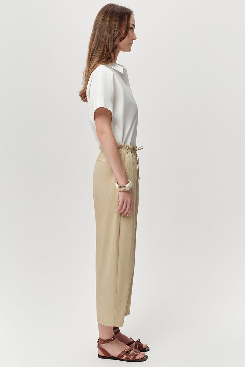 Amedee Drawstring Waist Woven Tapered Pants, Alternate, color, Beige