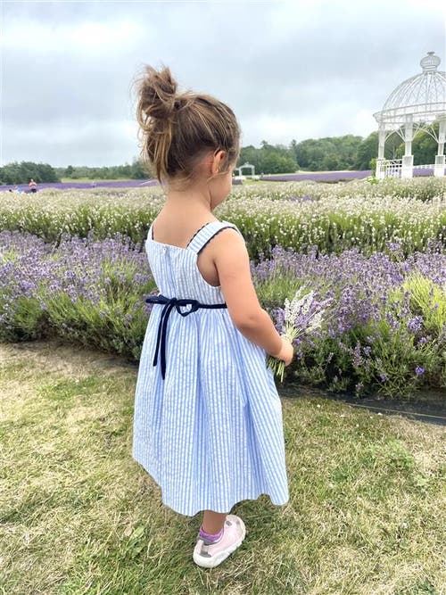 Florence Eiseman Seersucker Dress With Popscicles In Multi