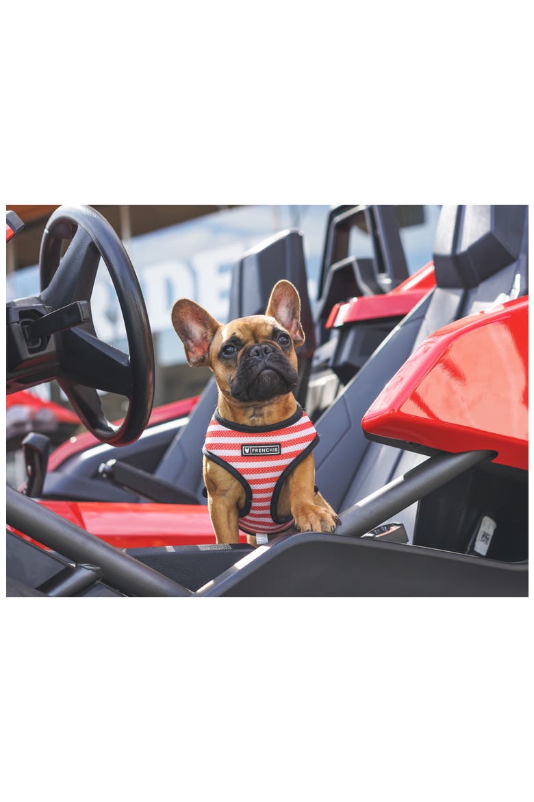 Duo Reversible Harness, Alternate, color, Bad to the Bone
