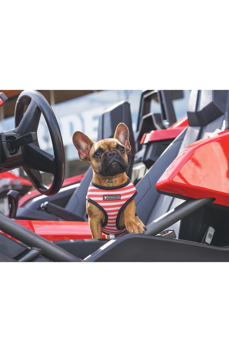 Frenchie Duo Reversible Harness, Alternate, color,