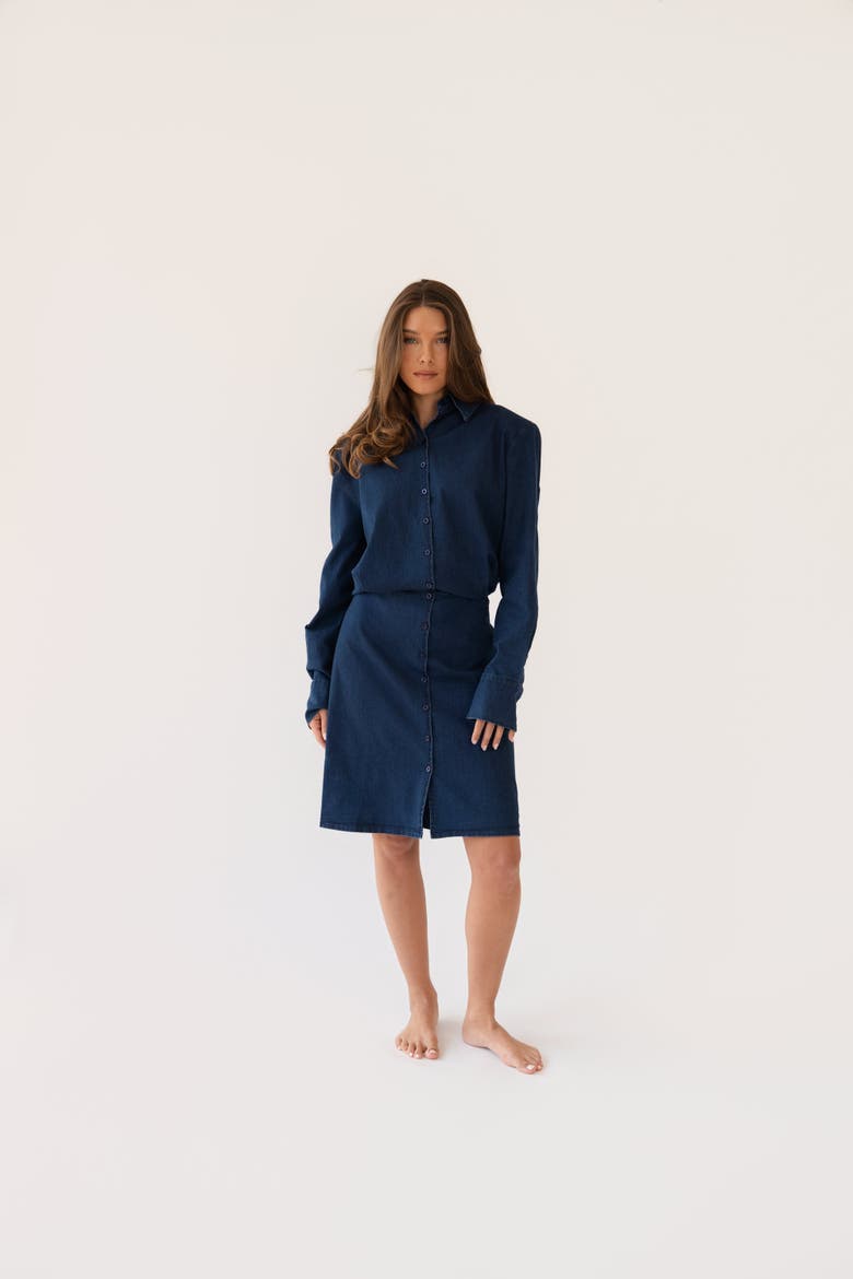 Shani Dress, Alternate, color, Denim