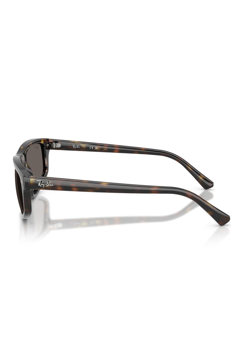 Irregular Sunglasses, Alternate, color, HAVANA / DARK GREY