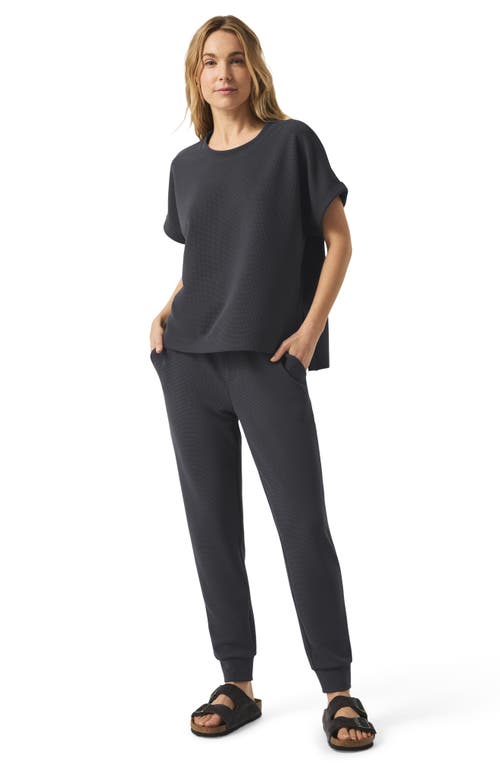 Splendid Tie Waist Waffle Stitch Scuba Joggers In Gray