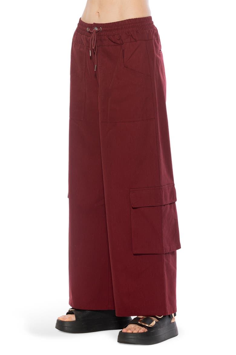 Evren Drawstring Waist Cargo Pants, Alternate, color, BURGUNDY