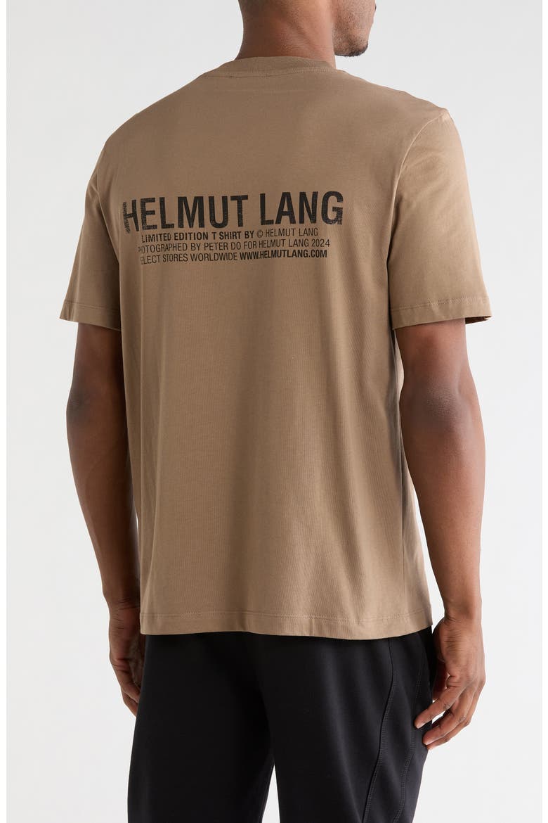 Postcard Sunset T-Shirt, Alternate, color, BROWNSTONE