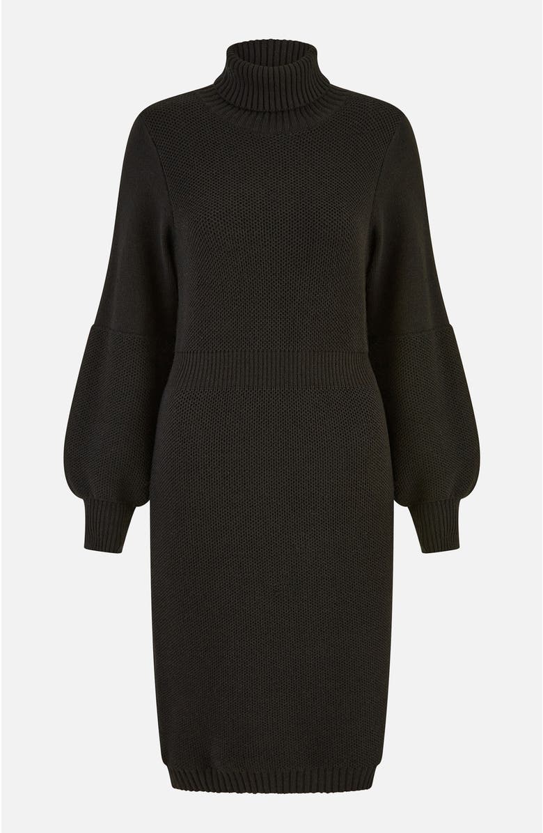 Yumi Roll Neck Knitted Dress, Alternate, color, Black