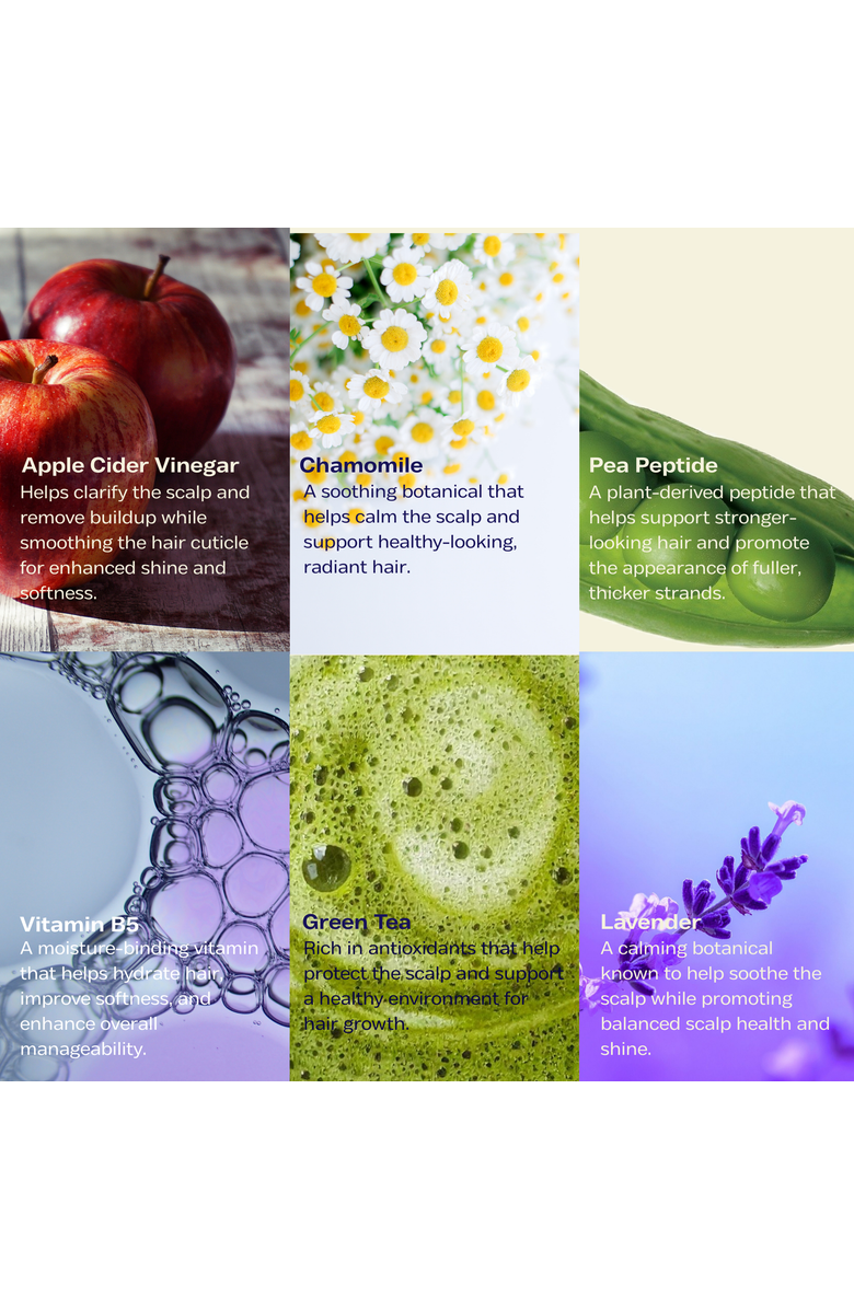 Luna Nectar Antarctic ACV Hair Glass Shine Rinse, Alternate, color, White