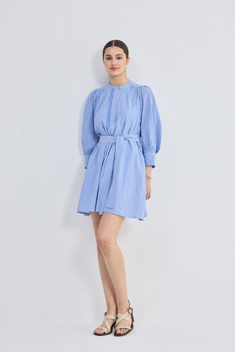 Oversized Tunic Dress with Optional Belt, Alternate, color, Stylish Symmetry
