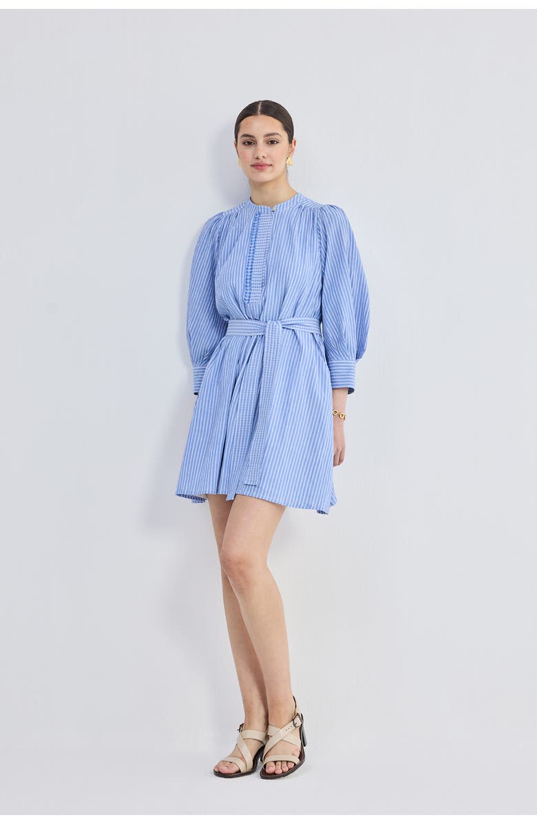 Reistor Oversized Tunic Dress with Optional Belt, Alternate, color, 