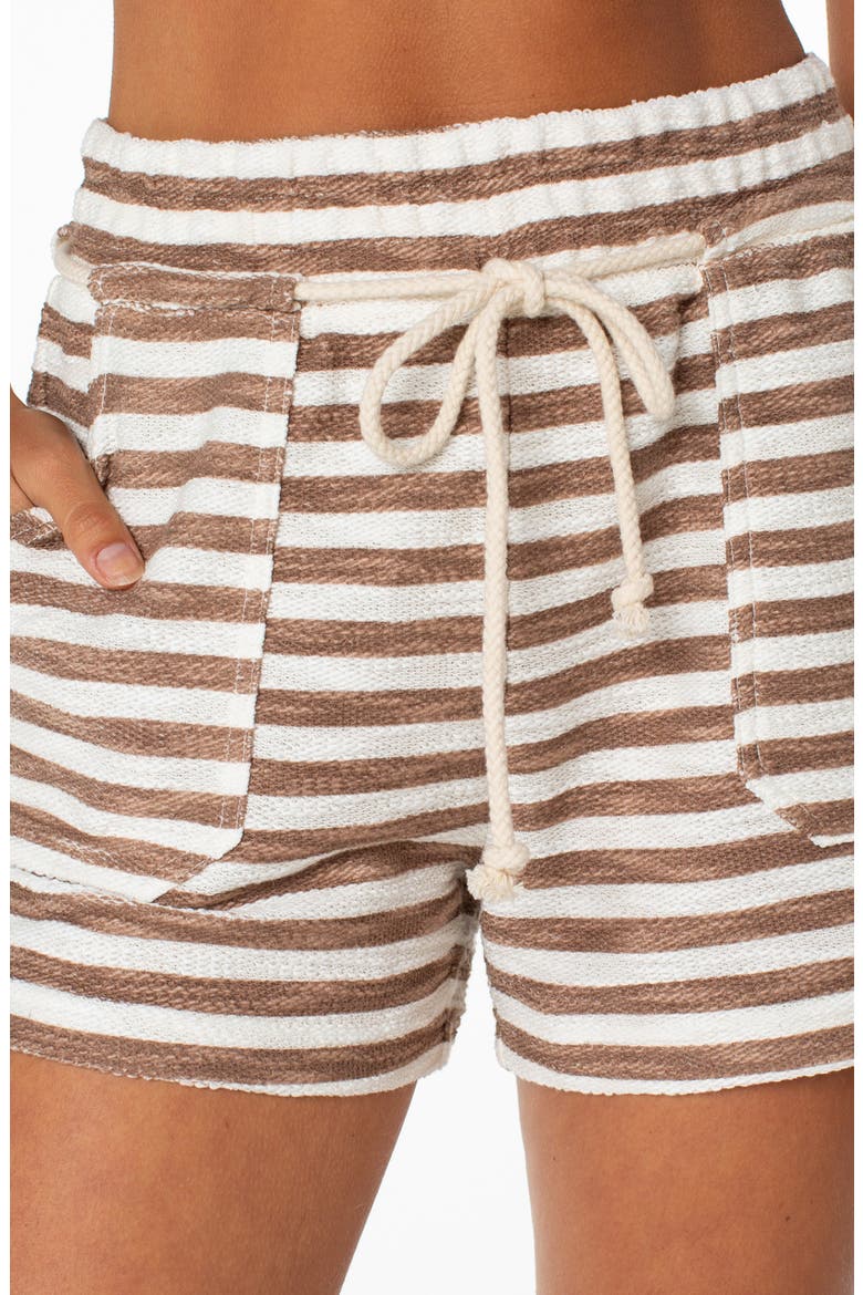 West Coast Stripe Shorts, Alternate, color, BROWNIE