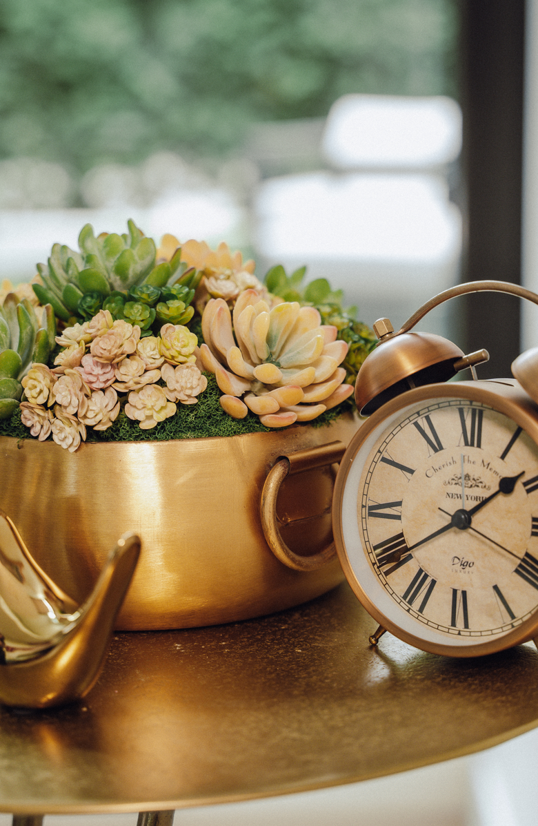 CocoBella Blaise Succulent Arrangment, Alternate, color,