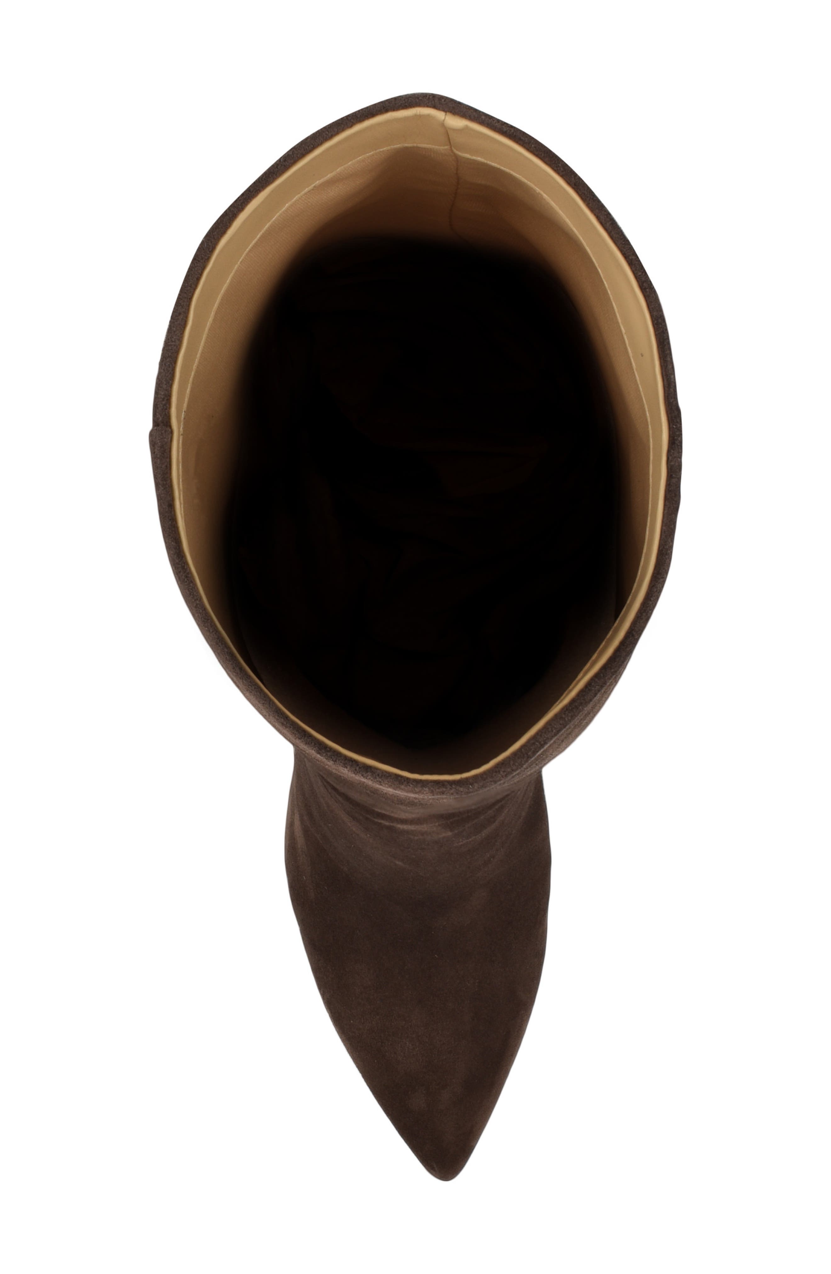 Nine West Richy Pointed Toe Knee High Boot, Alternate, color, Dark Brown