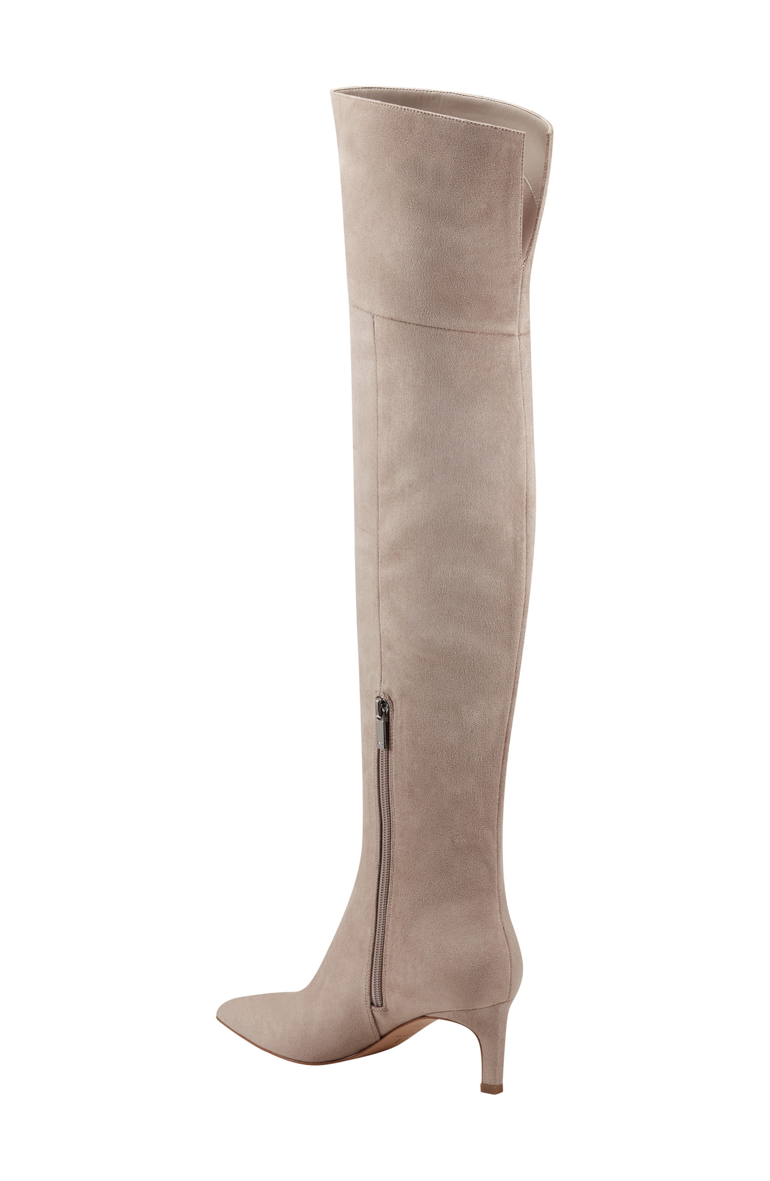 Qulie Pointed Toe Over the Knee Boot, Alternate, color, TAUPE