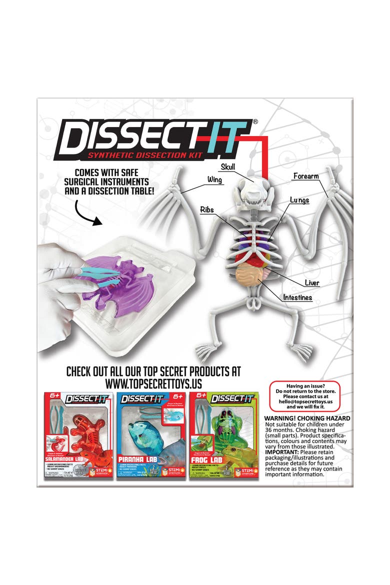 Dissect It Bat Lab Synthetic Dissection Kit, Alternate, color, Multicolored