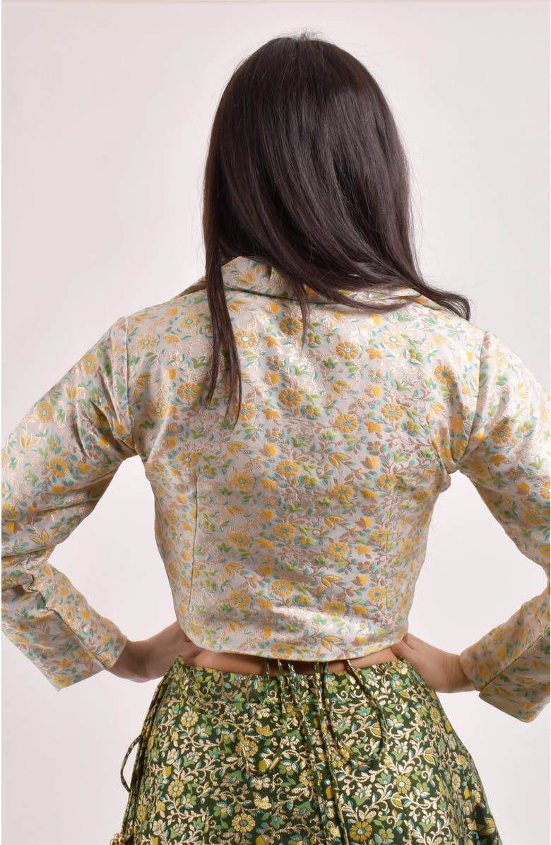 RAAS Zele Banarasi Lehenga Choli With Jacket, Alternate, color,