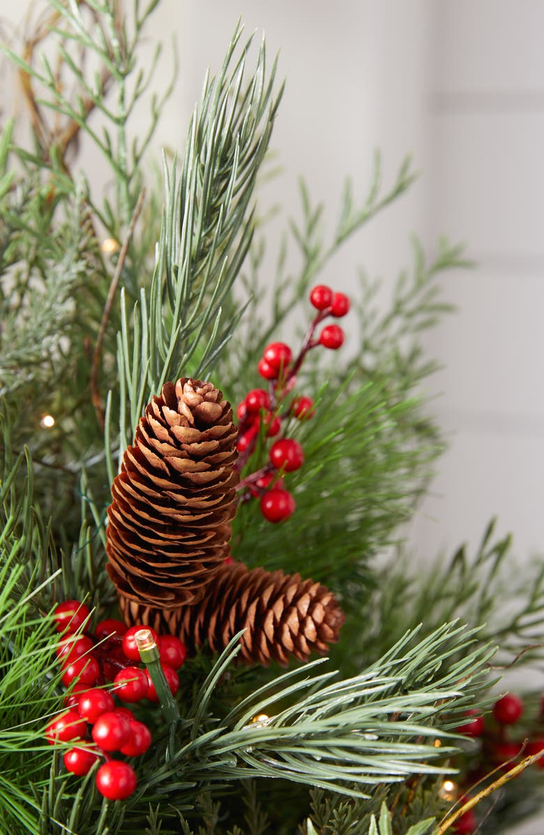 Balsam Hill Outdoor Red Berry Pine Potted Arrangement, Alternate, color, Red & Green