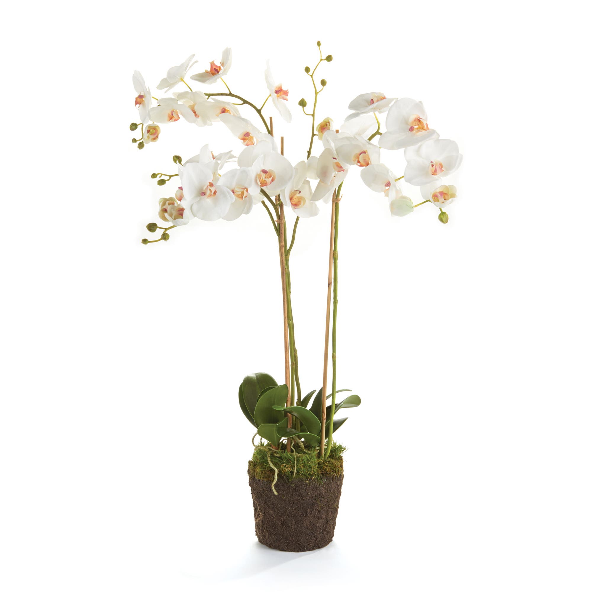 selected White