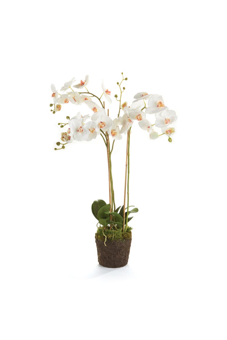 Phalaenopsis Orchid Faux (Fake) Drop-In 31", Main, color, White