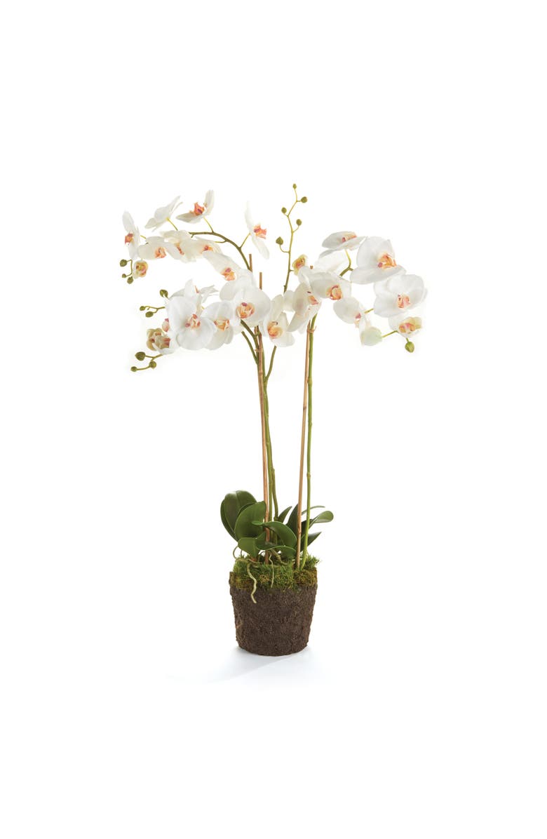 Napa Home & Garden Phalaenopsis Orchid Faux (Fake) Drop-In 31", Main, color, White