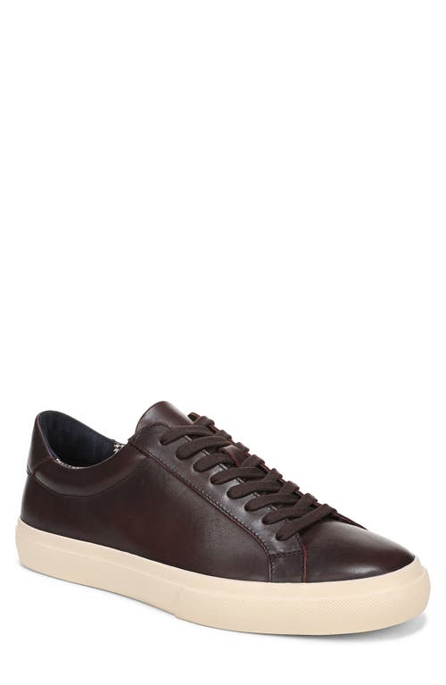 Vince Fulton Sneaker In Brown