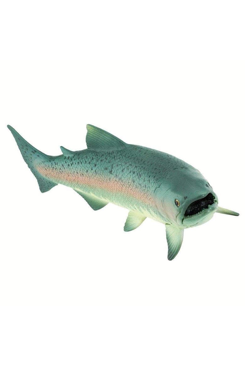 Salmon Toy, Alternate, color, No Color