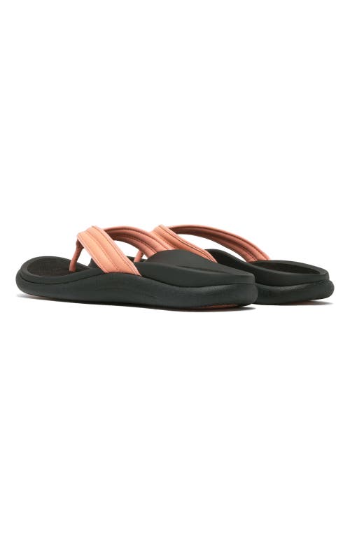 ABEO ABEO LAGUNA THIN STRAP 