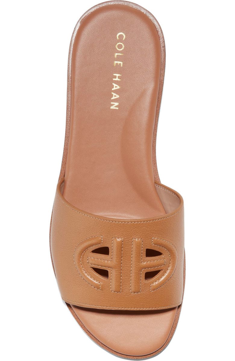 Cole Haan Flynn Logo Slide Sandal, Alternate, color, Pecan Leather