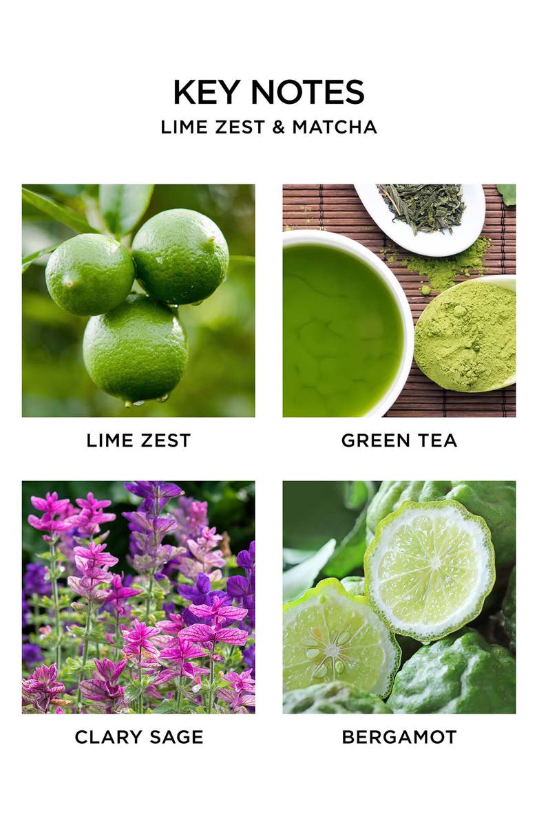 NEST New York Lime Zest & Matcha 4-Wick Luxury Candle, Alternate, color,