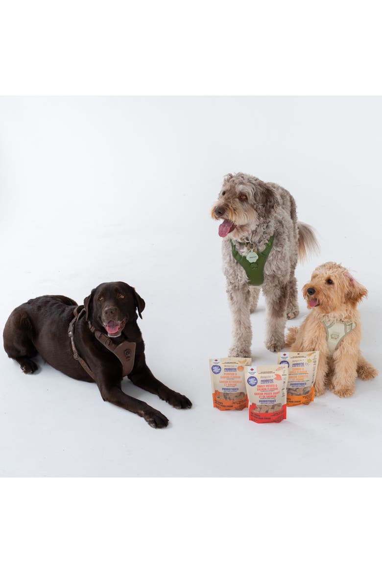 Pumpkin & Banana 8oz Probiotic Dog Treats, Alternate, color, Orange