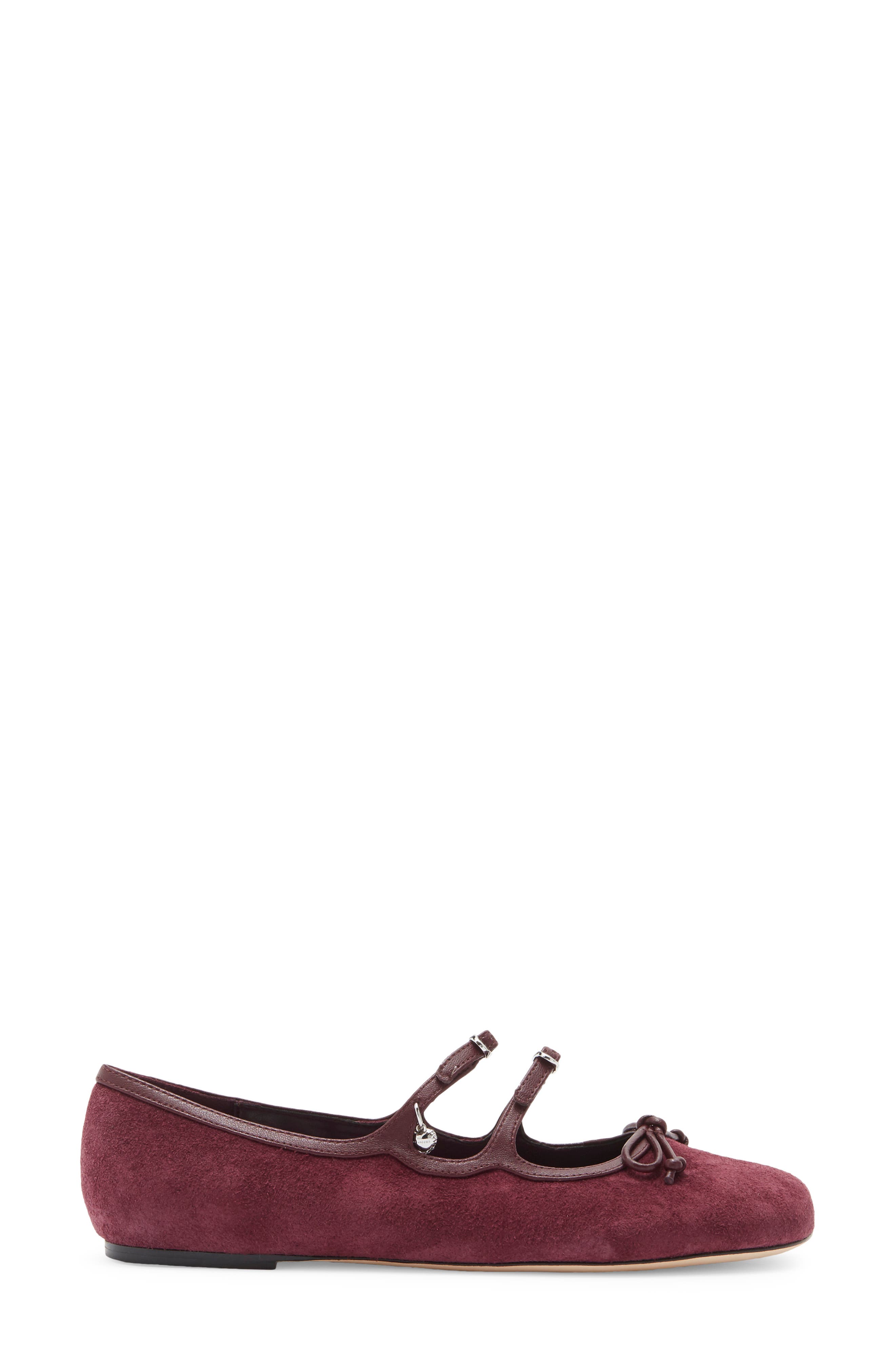 The Kiki Mary Jane Ballerina Flat, Alternate, color, DARK PLUM