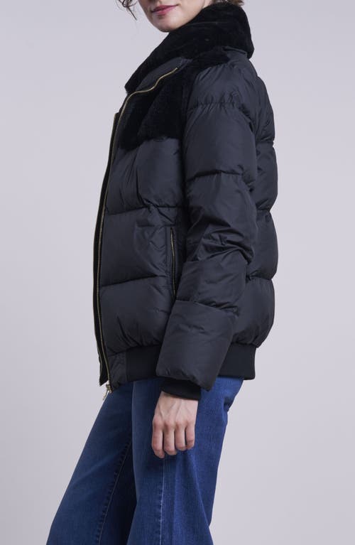 Blue Duck Water Resistant 700 Fill Power Down Jacket With Genuine Shearling Trim In Black