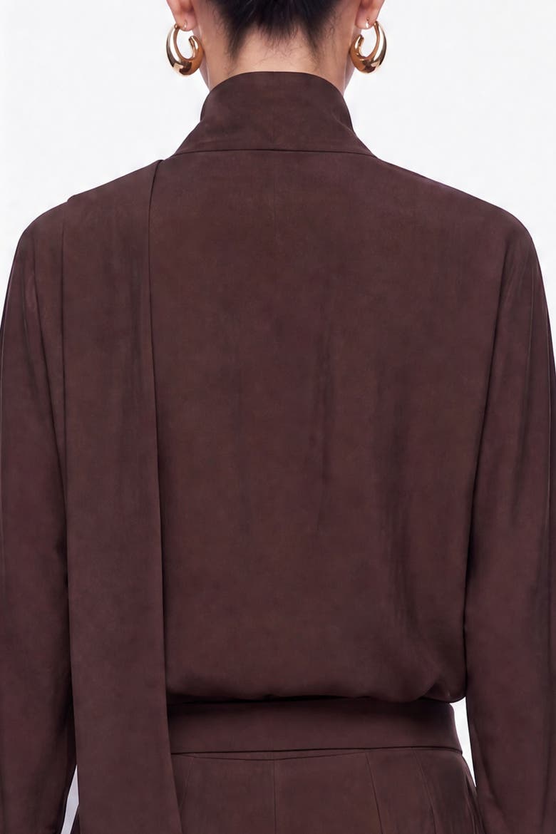 Stone Accessory Stand Collar Blouse, Alternate, color, Brown