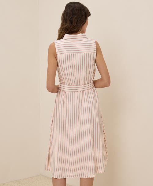 Pact Organic Cotton Sunset Lightweight Cotton Sleeveless Shirtdress In Zuma Stripe