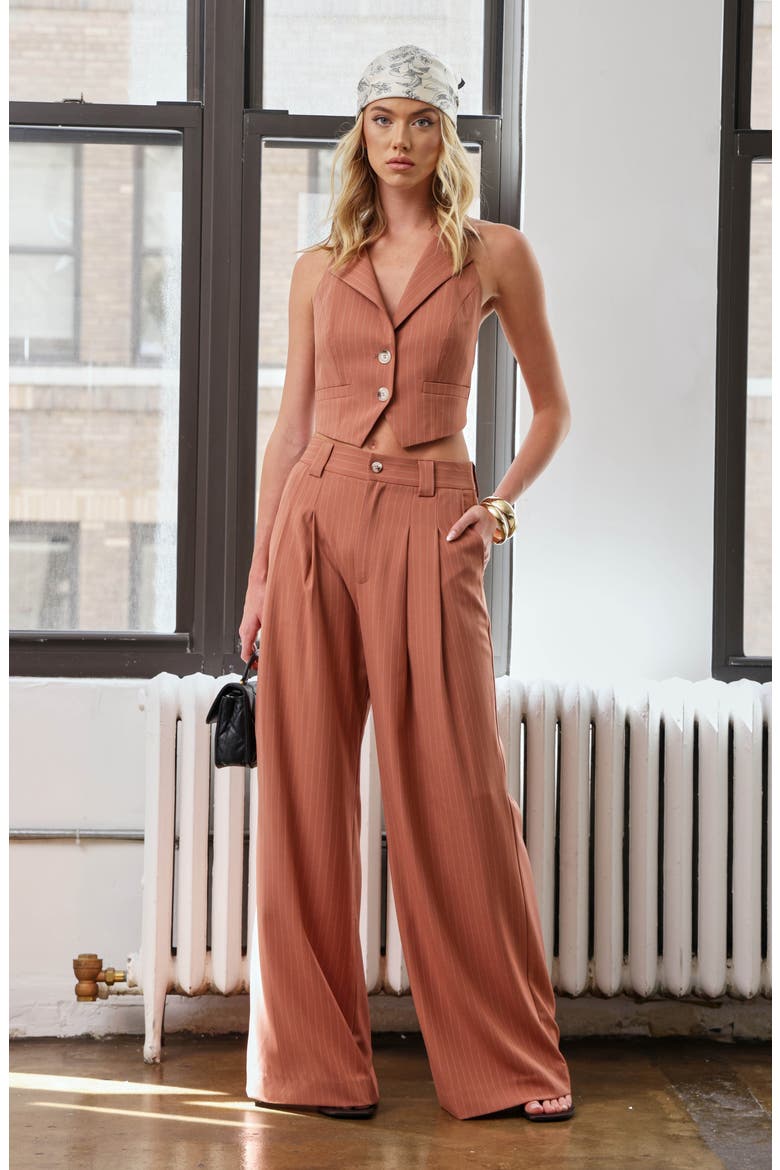 Belinda Wide Leg Pants, Alternate, color, CLAY PINSTRIPE