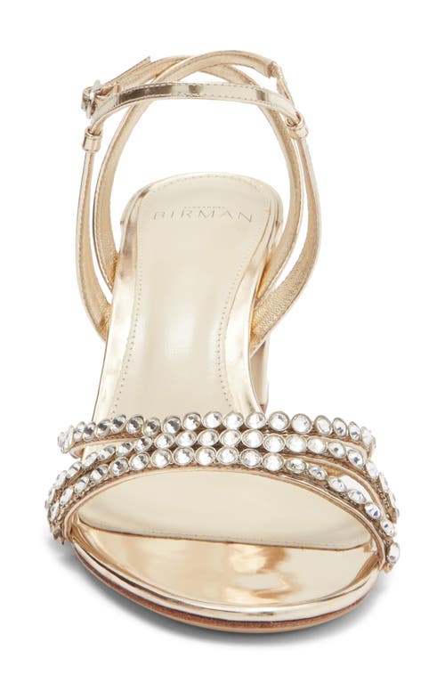 Alexandre Birman Caged Ankle Strap Sandal In Multi