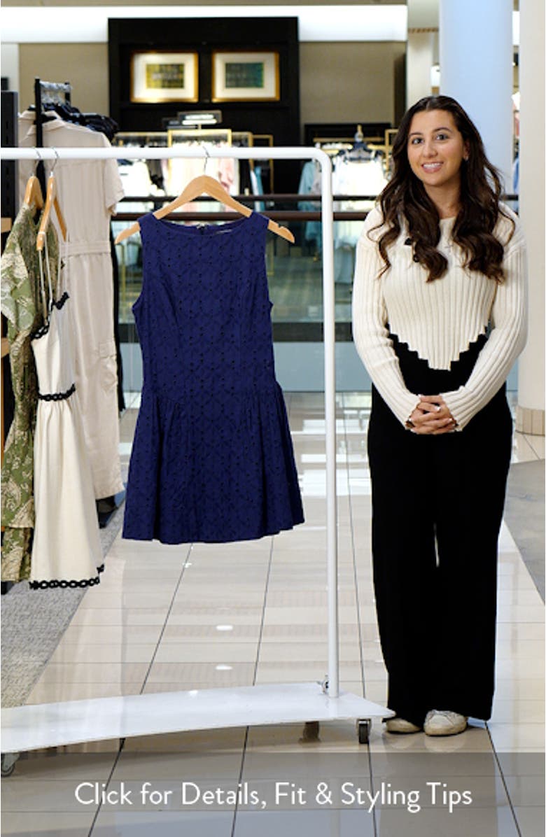 Paige Eyelet Minidress, sales video thumbnail