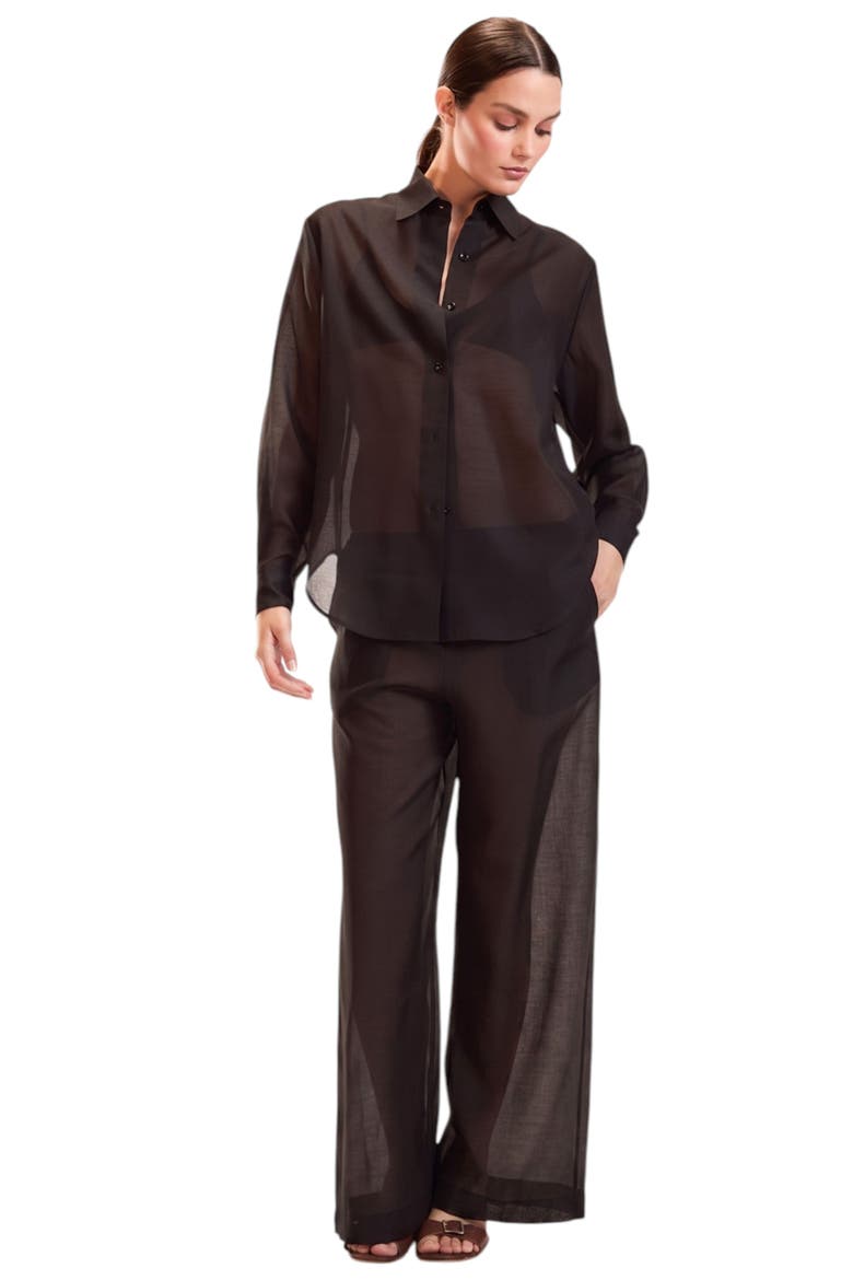 Salina Sheer Shirt, Alternate, color, Black