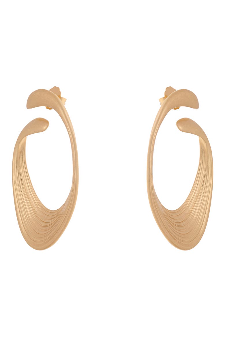 Birdie Brushed Twist Loop Earrings, Alternate, color, GOLD TONE