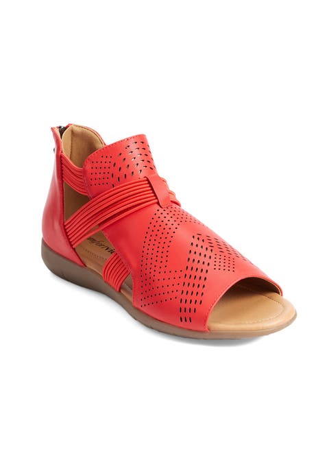 The Shiana Shootie (Wide Widths Available)