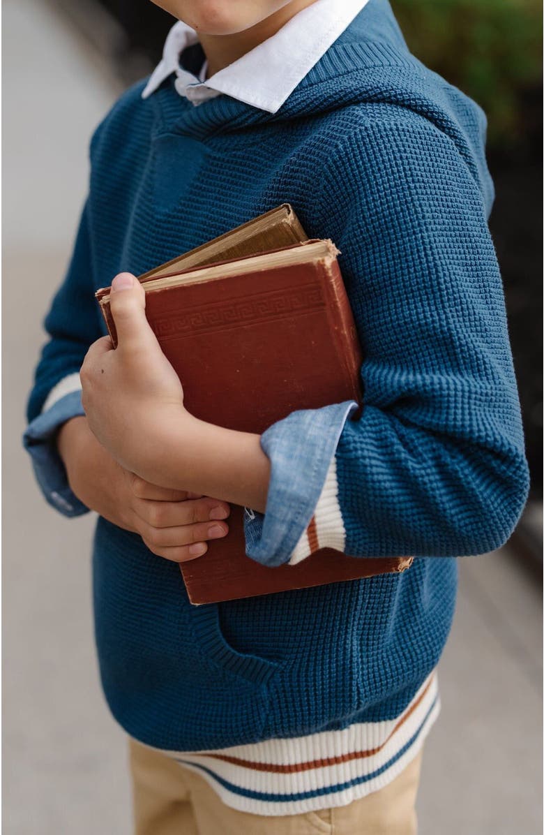 Hope & Henry Boys' Organic Kanga Sweater Hoodie, Kids, Alternate, color, 