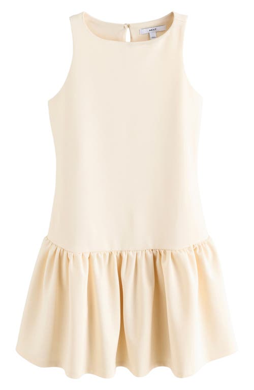 Next Drop Waist Minidress