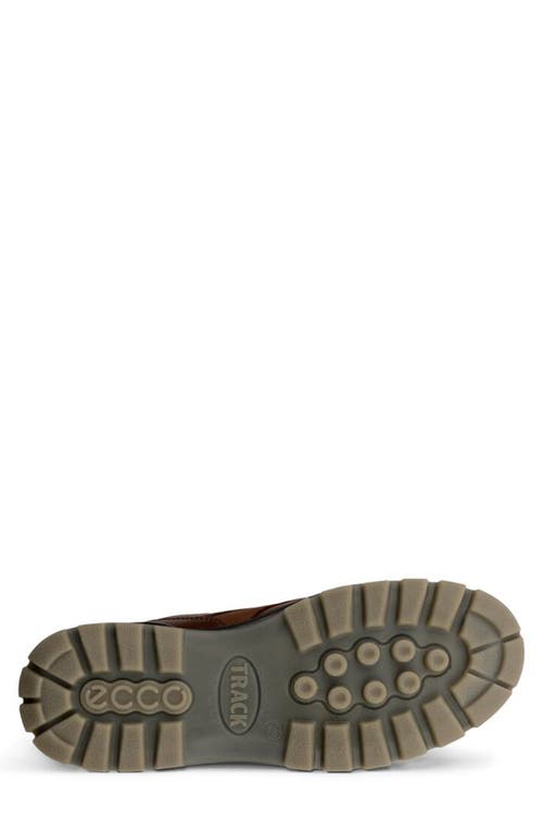 Ecco Track 25 Waterproof Moc Toe Derby In Brown