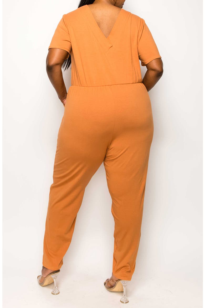 Gineva Pocket V-Neck Jumpsuit, Alternate, color, CLAY