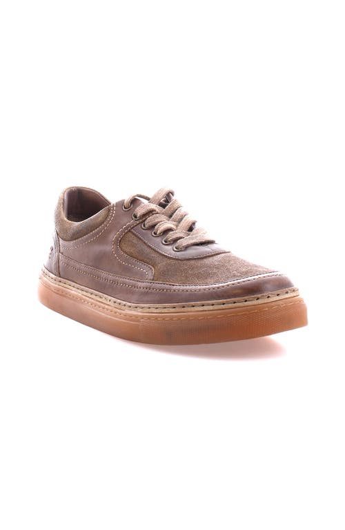 Roan Eminent Sneaker In Multi
