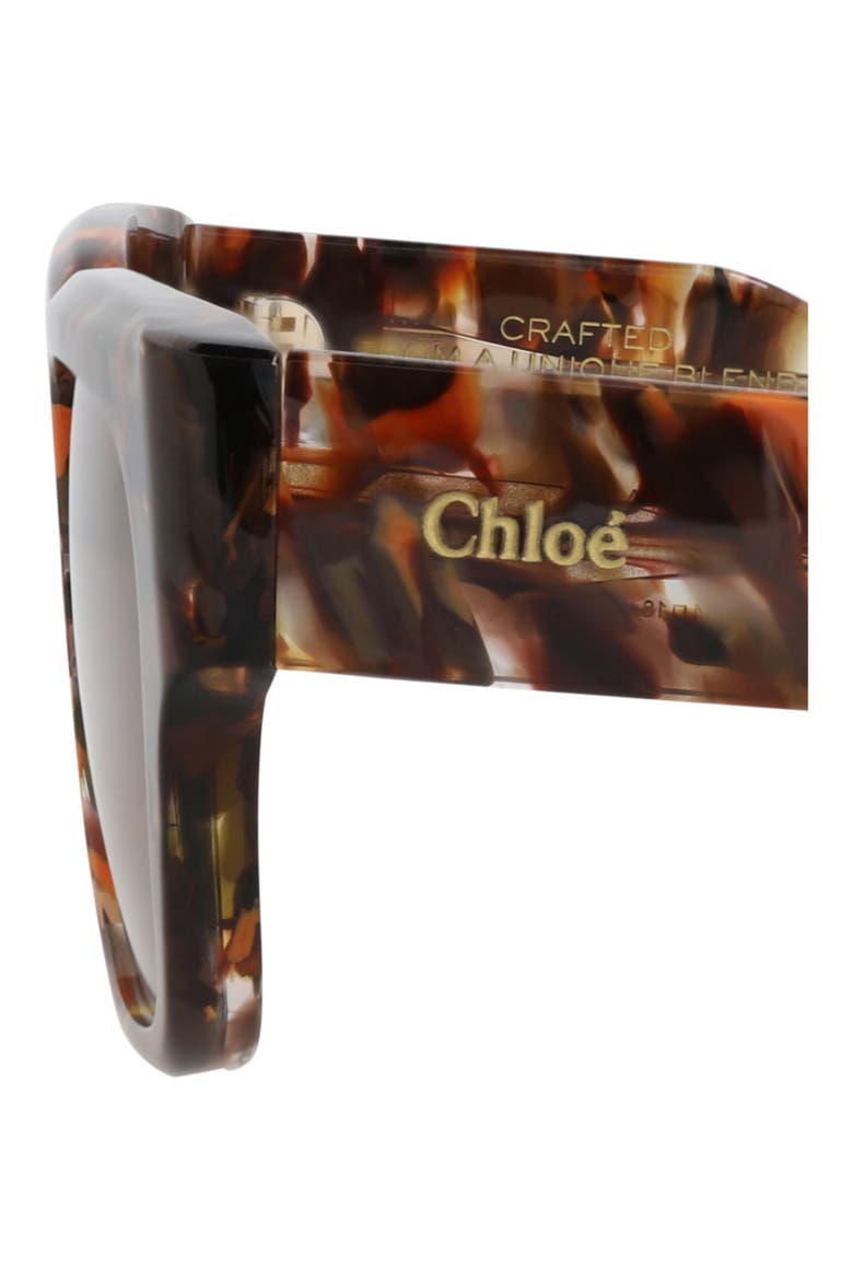 54mm Square Sunglasses, Alternate, color, HAVANA HAVANA BROWN