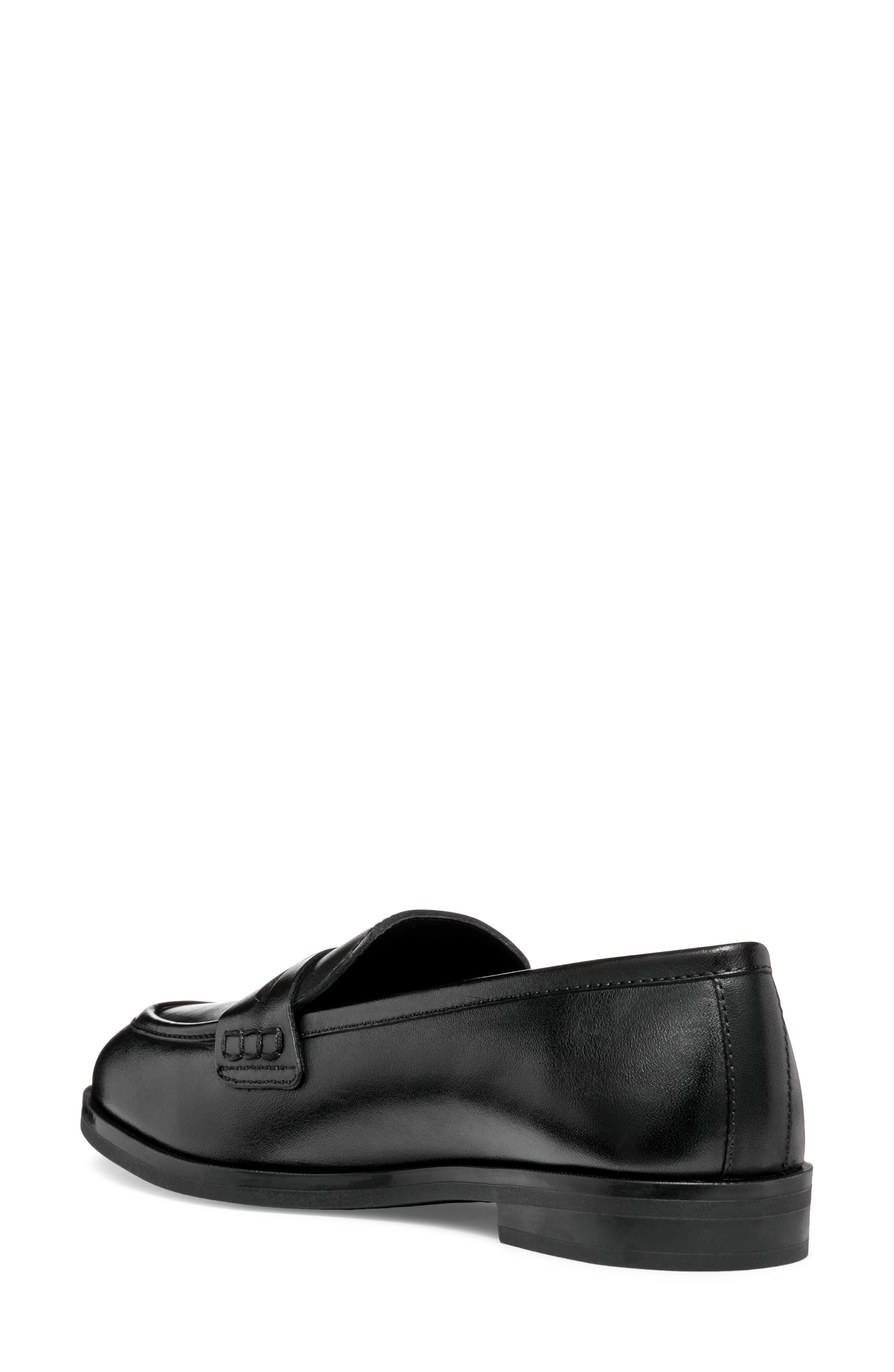 Geox Cloridie Penny Loafer, Alternate, color, 