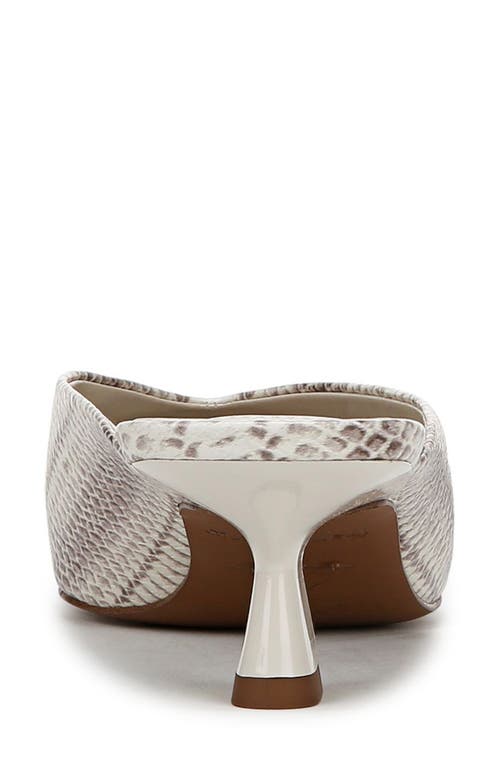 Franco Sarto Jayda Kitten Heel Mule In Grey