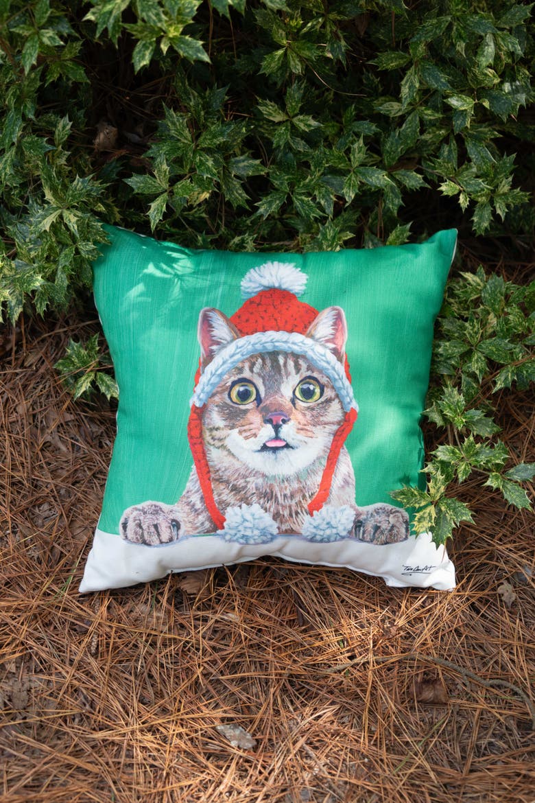 Funny Holiday Cat with Santa Hat Christmas Throw Pillow 18" x 18", Alternate, color, Green
