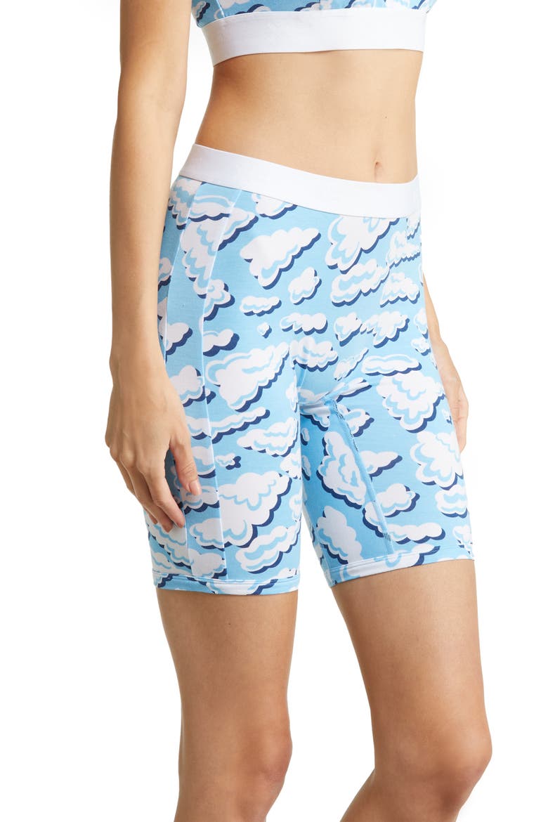 Stretch Modal 9-Inch Boxer Briefs, Alternate, color, IN THE CLOUDS