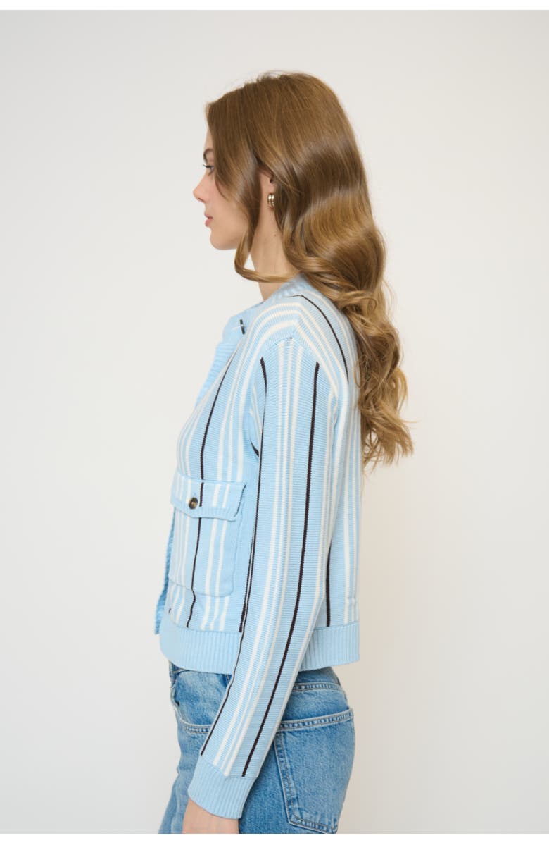 Central Park West Alba Vertical Stripe Sweater, Alternate, color, Blue Stripe